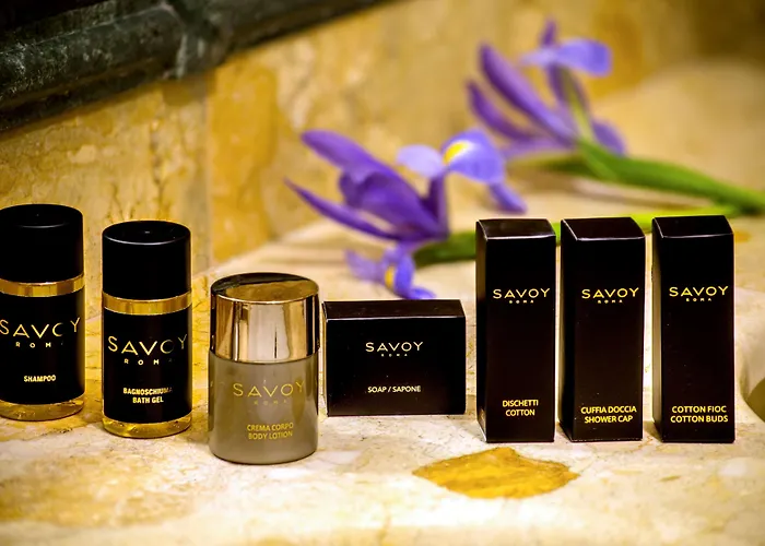 Savoy Otel 4*